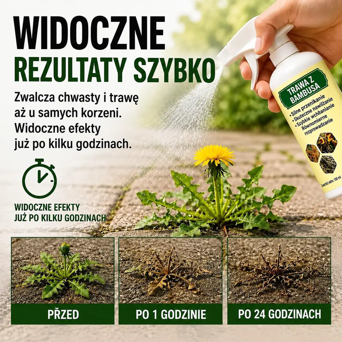 🔥 VÝPRODEJ 2026 – Rychle působící přírodní sprej proti plevelu a nežádoucí trávě