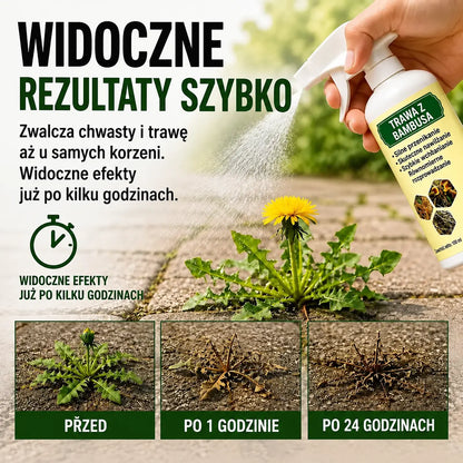 🔥 VÝPRODEJ 2026 – Rychle působící přírodní sprej proti plevelu a nežádoucí trávě