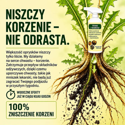 🔥 VÝPRODEJ 2026 – Rychle působící přírodní sprej proti plevelu a nežádoucí trávě