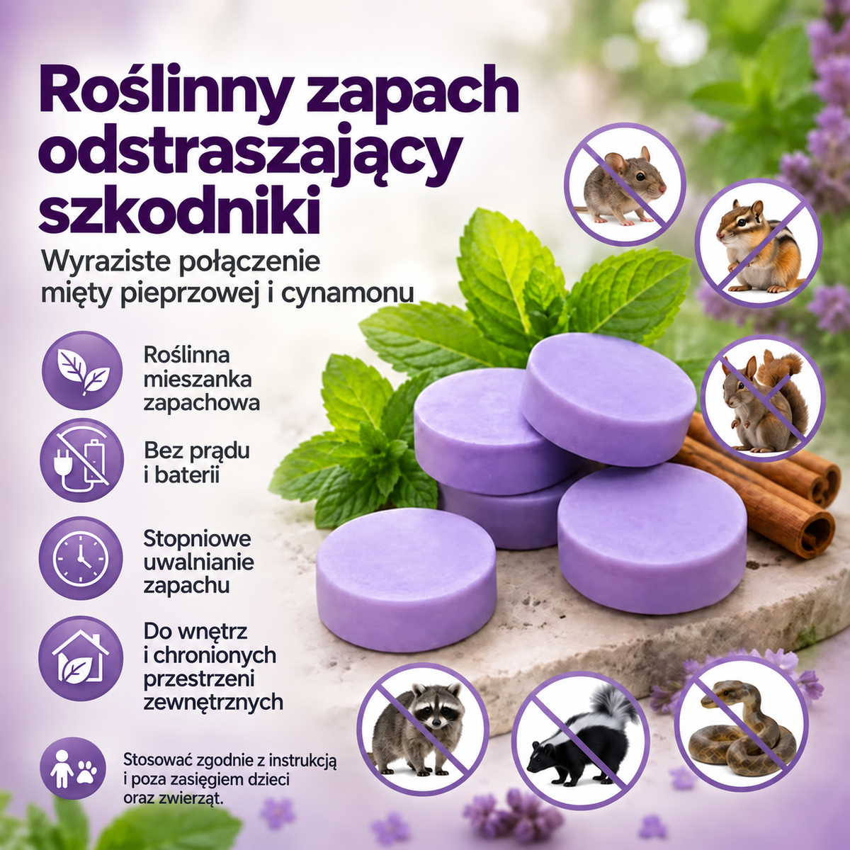 Roślinny zapach mięty pieprzowej i cynamonu